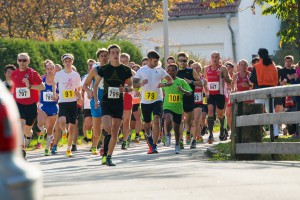 StartLabertallauf2015